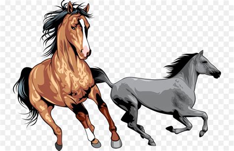 Wild Horse Clipart Images .